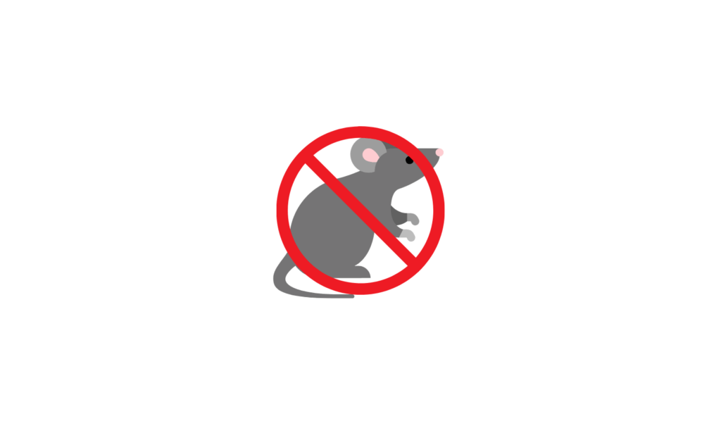 dedetização de ratos
